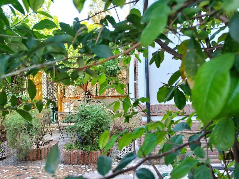 Вилла Casa Limonero Con Parking Gratis Junto A Centro Historico Гранада Экстерьер фото