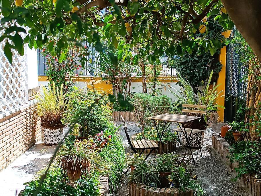 Вилла Casa Limonero Con Parking Gratis Junto A Centro Historico Гранада Экстерьер фото