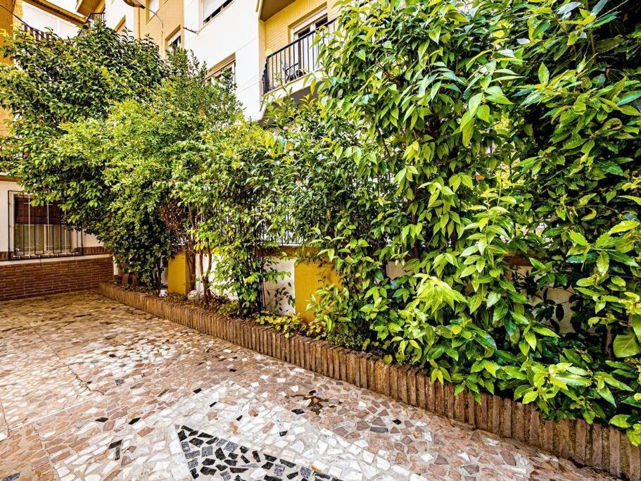 Вилла Casa Limonero Con Parking Gratis Junto A Centro Historico Гранада Экстерьер фото