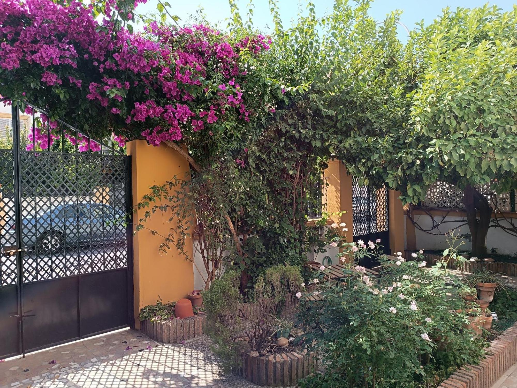 Вилла Casa Limonero Con Parking Gratis Junto A Centro Historico Гранада Экстерьер фото